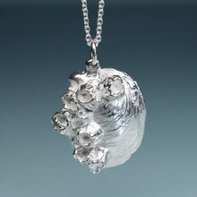 Load image into Gallery viewer, Cast Slipper Shell with Barnacles Necklace - (crepidula fornicata)
