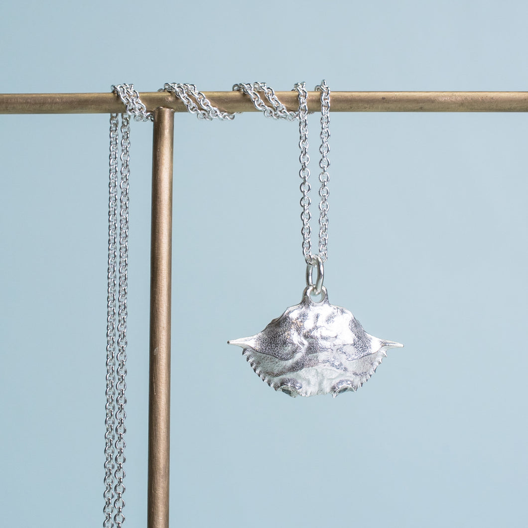 baby blue crab carapace necklace in polished sterling silver by hali maclaren of hkm jewelry