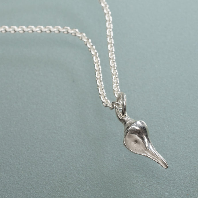 silver whelk conch shell necklace on silver cable chain