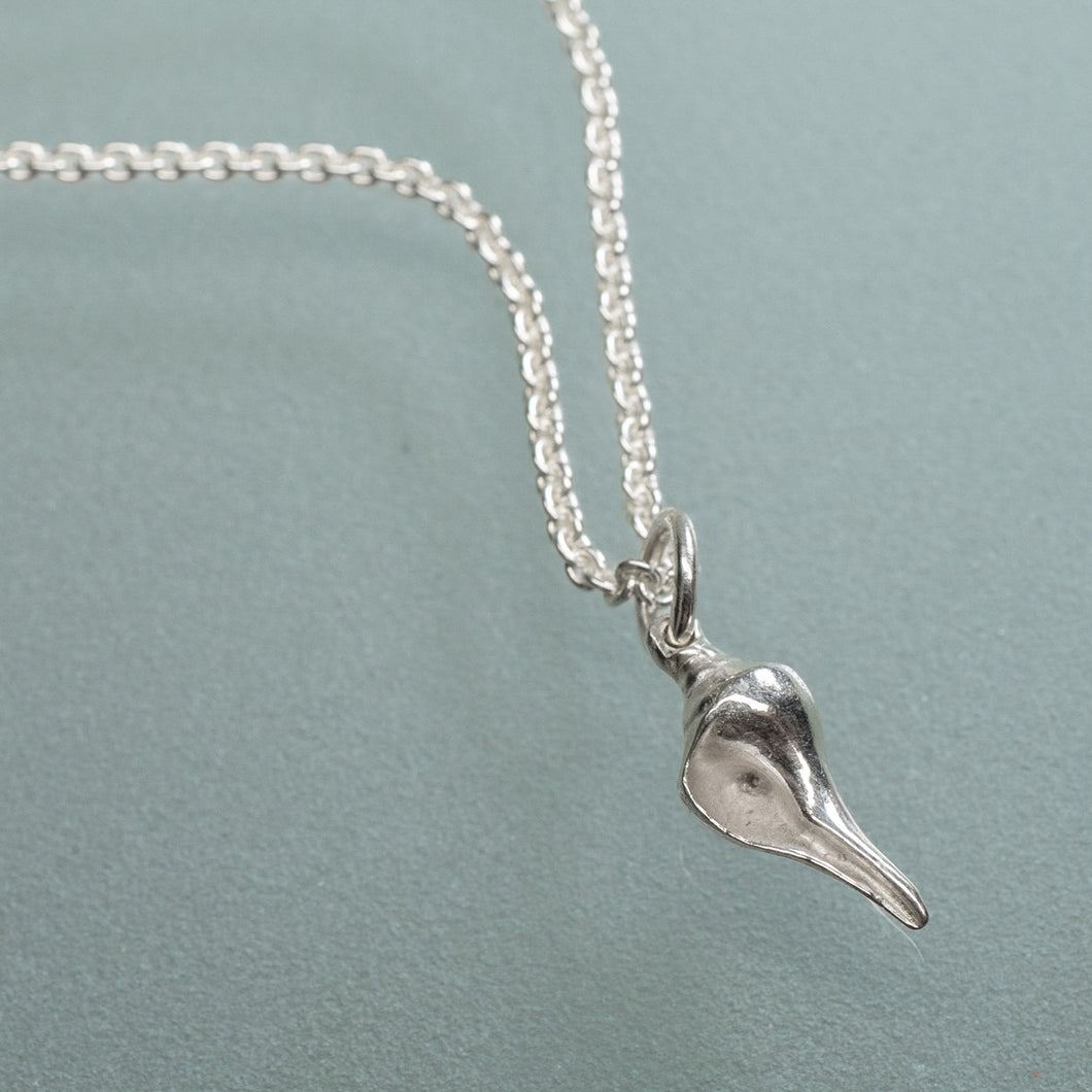 silver whelk conch shell necklace on silver cable chain