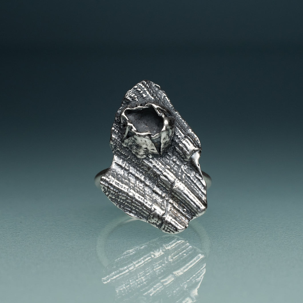 oxidized silver shell textured ring with barnacle on hand model with teal gradient background