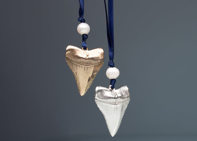 Two shark tooth ornaments on blue cords with white beads against a gray background