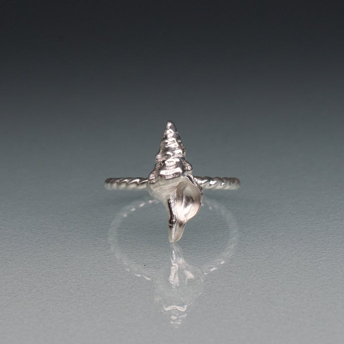 silver horse conch shell ring with twisted band on gradient blue background