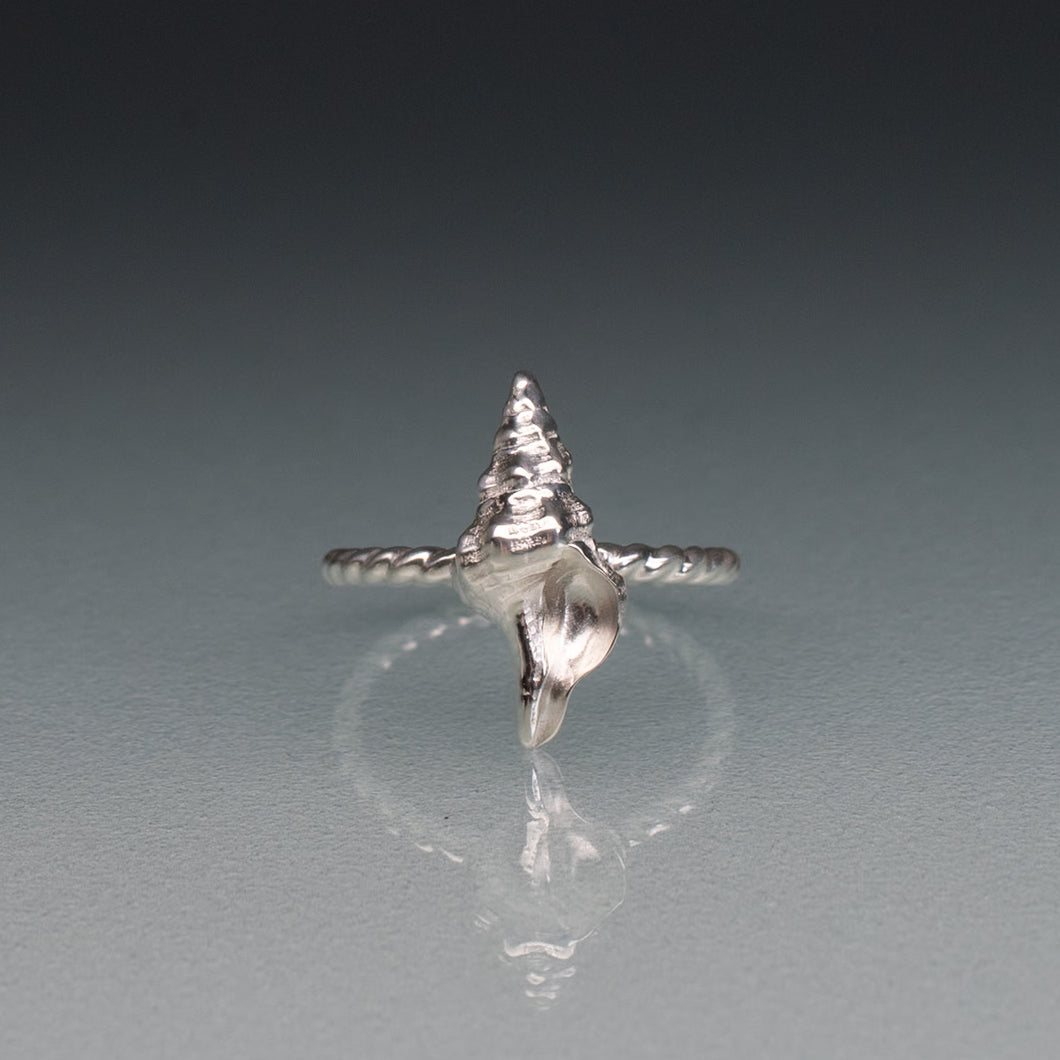 Cast Baby Horse Conch Ring - (triplofusus giganteus)