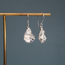 Load image into Gallery viewer, Oyster With A Pearl Earrings - Kitten's Paw Dangles
