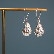 Load image into Gallery viewer, Oyster With A Pearl Earrings - Kitten's Paw Dangles
