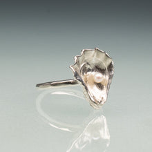 Load image into Gallery viewer, oyster with a pearl kitten&#39;s paw licatula gibbosa ring in sterling silver by hali maclaren of hkm jewelry
