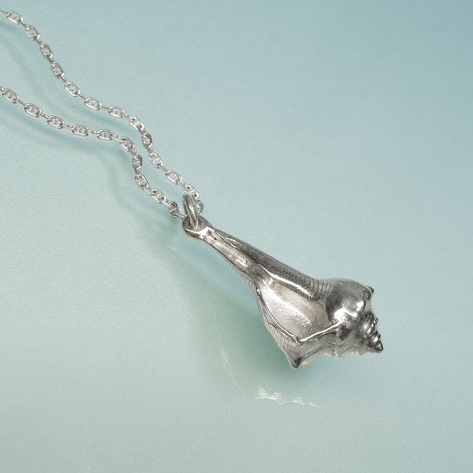 Silver conch shell pendant on a chain against a light blue background