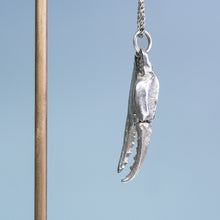 Load image into Gallery viewer, close up of articulate Ovalipes ocellatus - Lady Crab Claw Necklace cast in sterling silver on reverse double rope chain by hkm jewelry
