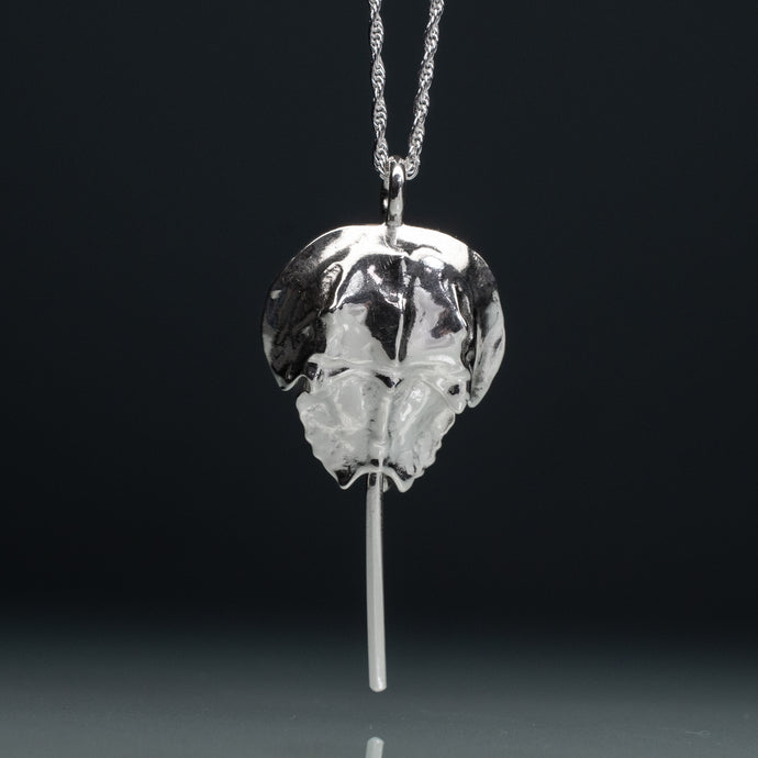 Silver pendant on a chain against a black background