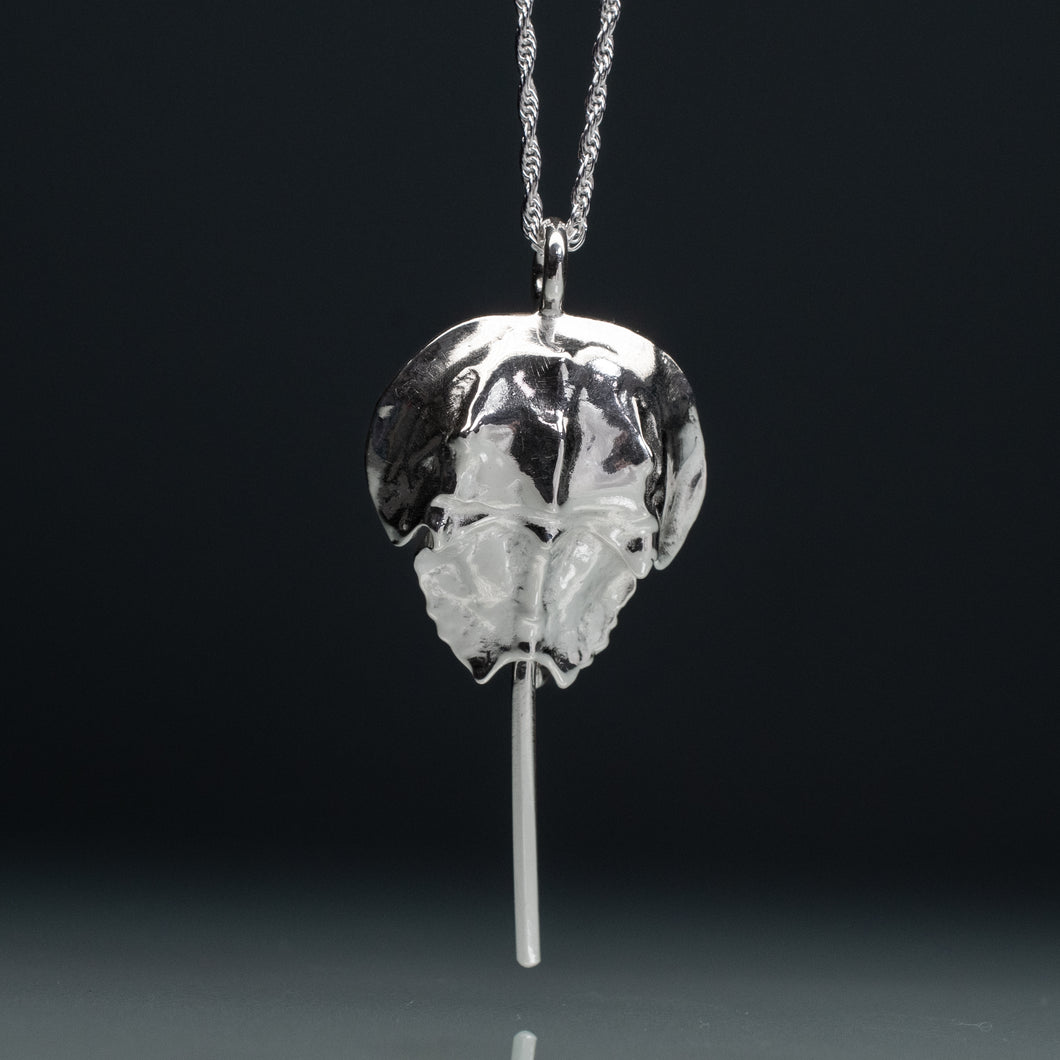 Silver pendant on a chain against a black background