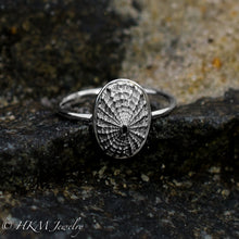 Load image into Gallery viewer, Limpet Shell Ring - Cast Seashell Ring - Sterling Silver Shell
