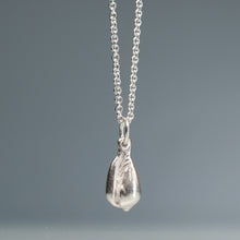 Load image into Gallery viewer, cast seashell necklace on a blue-grey background

