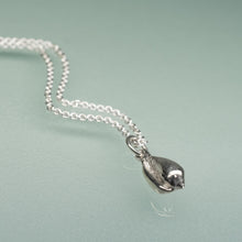 Load image into Gallery viewer, Common Marginella Shell Necklace - (prunum apicinum)
