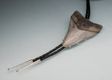Load image into Gallery viewer, large megalodon shark tooth fossil bolo tie on leather with blue background

