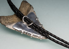 Load image into Gallery viewer, backside view of shark tooth bolo tie 
