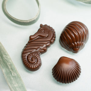 seahorse snail and clam seashell shaped milk chocolate bridge street chocolates hkm jewelry mother's day collaboration