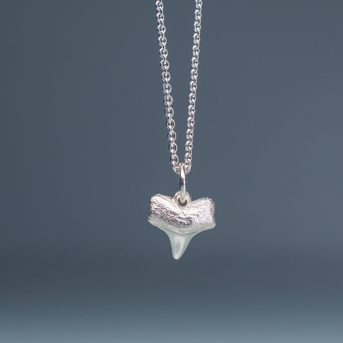 small silver shark tooth necklace on cable chain with blue gradient background