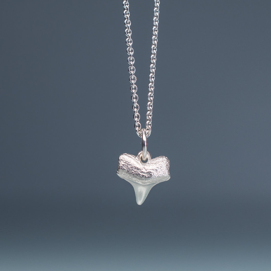 small silver shark tooth necklace on cable chain with blue gradient background