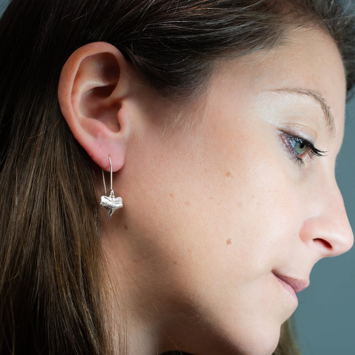 cast silver small shark tooth earring on model