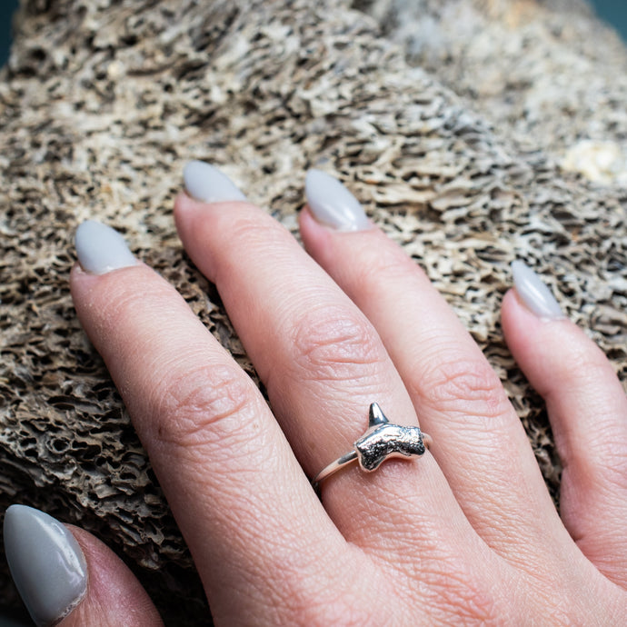 cast silver small shark tooth ring on hand model with textured beige coral background