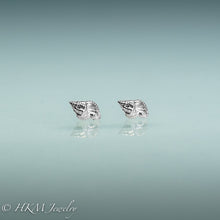 Load image into Gallery viewer, Florida Rock Snail seashell stud earrings in silver by hkm jewelry
