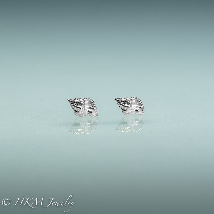 Florida Rock Snail seashell stud earrings in silver by hkm jewelry