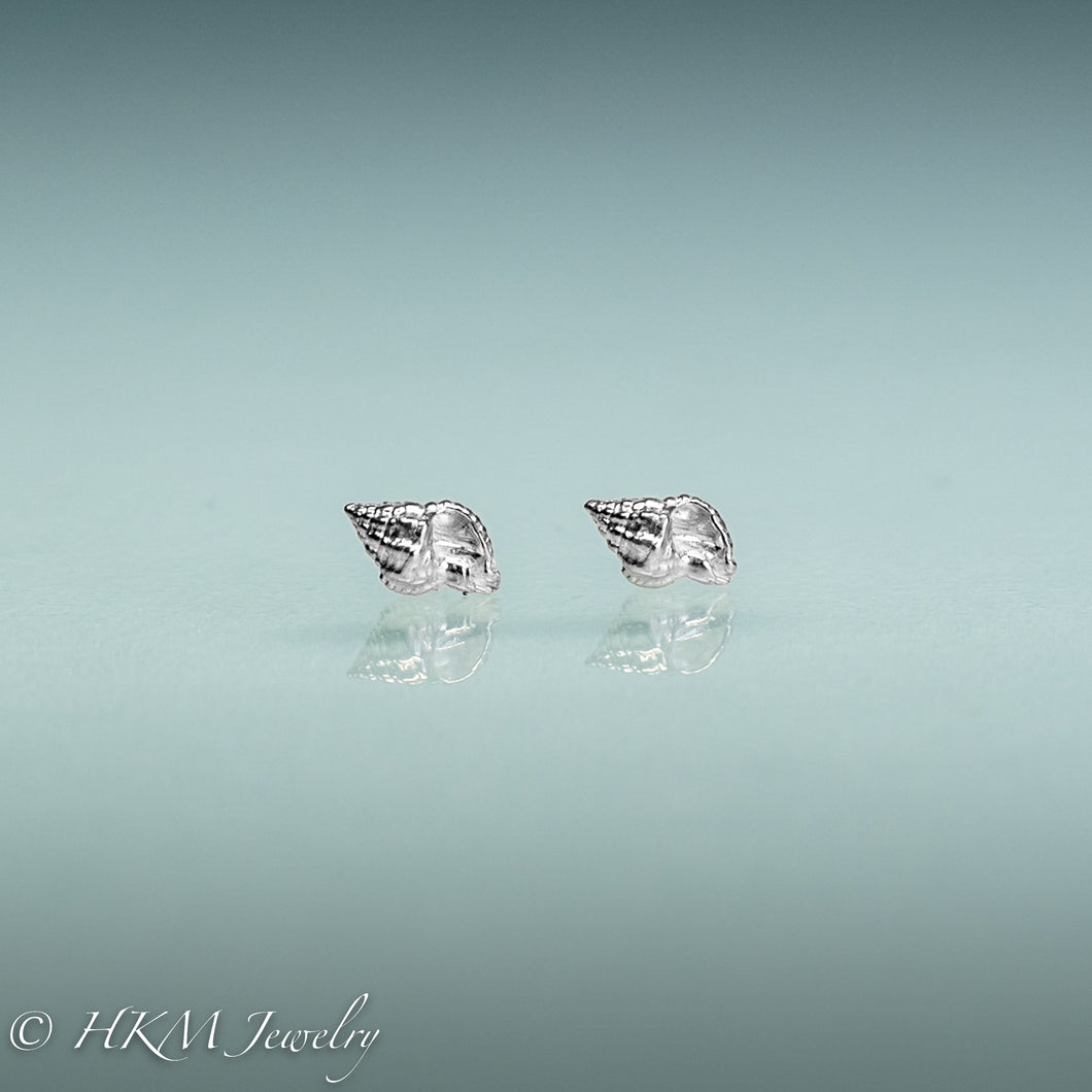 Florida Rock Snail seashell stud earrings in silver by hkm jewelry