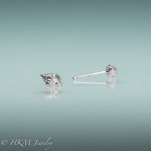 Load image into Gallery viewer, Florida Rock Snail seashell stud earrings in silver by hkm jewelry
