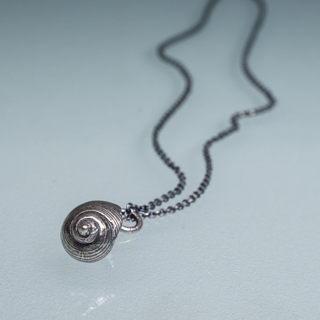 Common Periwinkle Snail Shell Necklace - (littorina littorea)