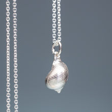 Load image into Gallery viewer, Common Periwinkle Snail Shell Necklace - (littorina littorea)
