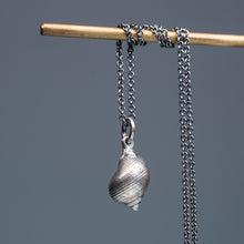 Load image into Gallery viewer, Common Periwinkle Snail Shell Necklace - (littorina littorea)
