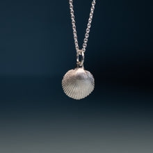 Load image into Gallery viewer, A silver shell pendant necklace hanging from a silver chain against a dark blue gradient background.
