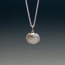 Load image into Gallery viewer, A silver shell pendant necklace hanging from a silver chain against a dark gradient background.
