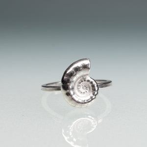 front view of cast sterling silver rams horn squid spirula shell spiral ring by hali maclaren of hkm jewelry