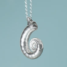 Load image into Gallery viewer, Ram&#39;s Horn Squid Shell Necklace - Silver Spirula Seashell Necklace
