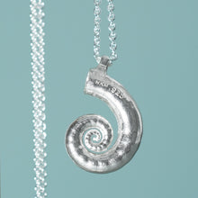 Load image into Gallery viewer, Ram&#39;s Horn Squid Shell Necklace - Silver Spirula Seashell Necklace
