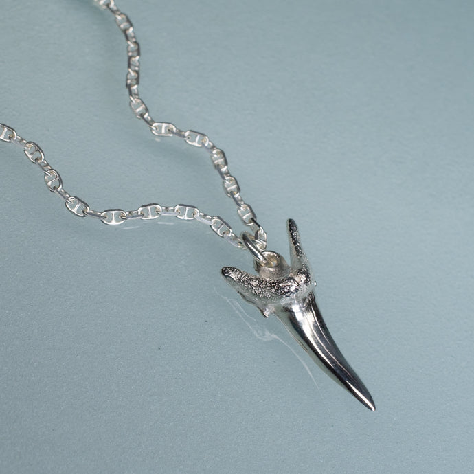 silver shark tooth necklace on anchor chain on light blue background