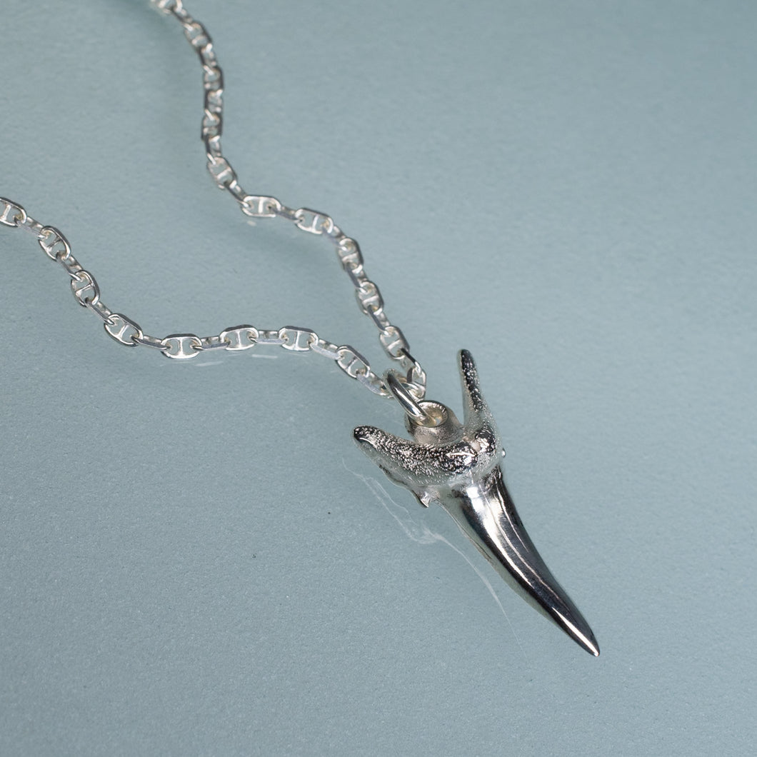 silver shark tooth necklace on anchor chain on light blue background
