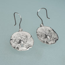 Load image into Gallery viewer, back side view of silver sand dollar earrings on light blue grey background
