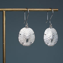 Load image into Gallery viewer, silver sand dollar earrings on brass earring display with dark blue grey background
