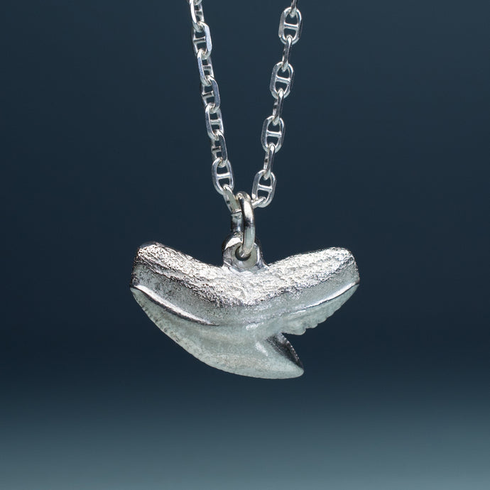 silver shark tooth necklace on anchor chain with teal gradient background