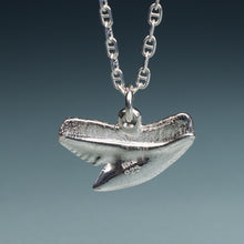 Load image into Gallery viewer, back of silver shark tooth necklace on anchor chain with teal gradient background
