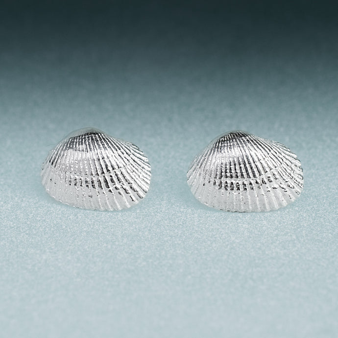  Recycled Silver Ark Clam Studs - Seashell Earrings - Cockle Clam Shells Sustainable Gift by Hali MacLaren of HKM Jewelry