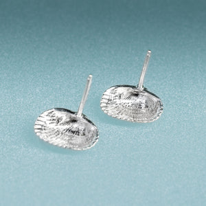 underside of  Recycled Silver Ark Clam Studs - Seashell Earrings - Cockle Clam Shells Sustainable Gift by Hali MacLaren of HKM Jewelry