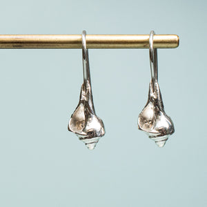 close up view of baby knobbed whelk drop earrings in polished recycled silver by hkm jewelry