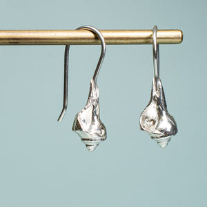 close up side and front view of baby knobbed whelk drop earrings in polished recycled silver by hkm jewelry
