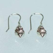 Load image into Gallery viewer, close up bottom view of baby knobbed whelk drop earrings in polished recycled silver by hkm jewelry
