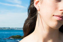 Load image into Gallery viewer, Horseshoe Crab Tail Earrings - Long Silver Spear Drops
