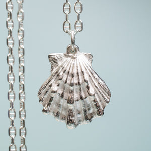 close up of large lions paw scallop shell necklace in polished sterling silver with anchor chain by hkm jewelry
